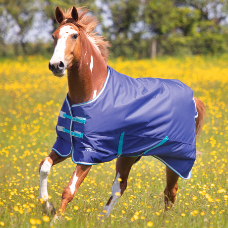 Shires Tempest Original 100g Turnout Rug #colour_navy