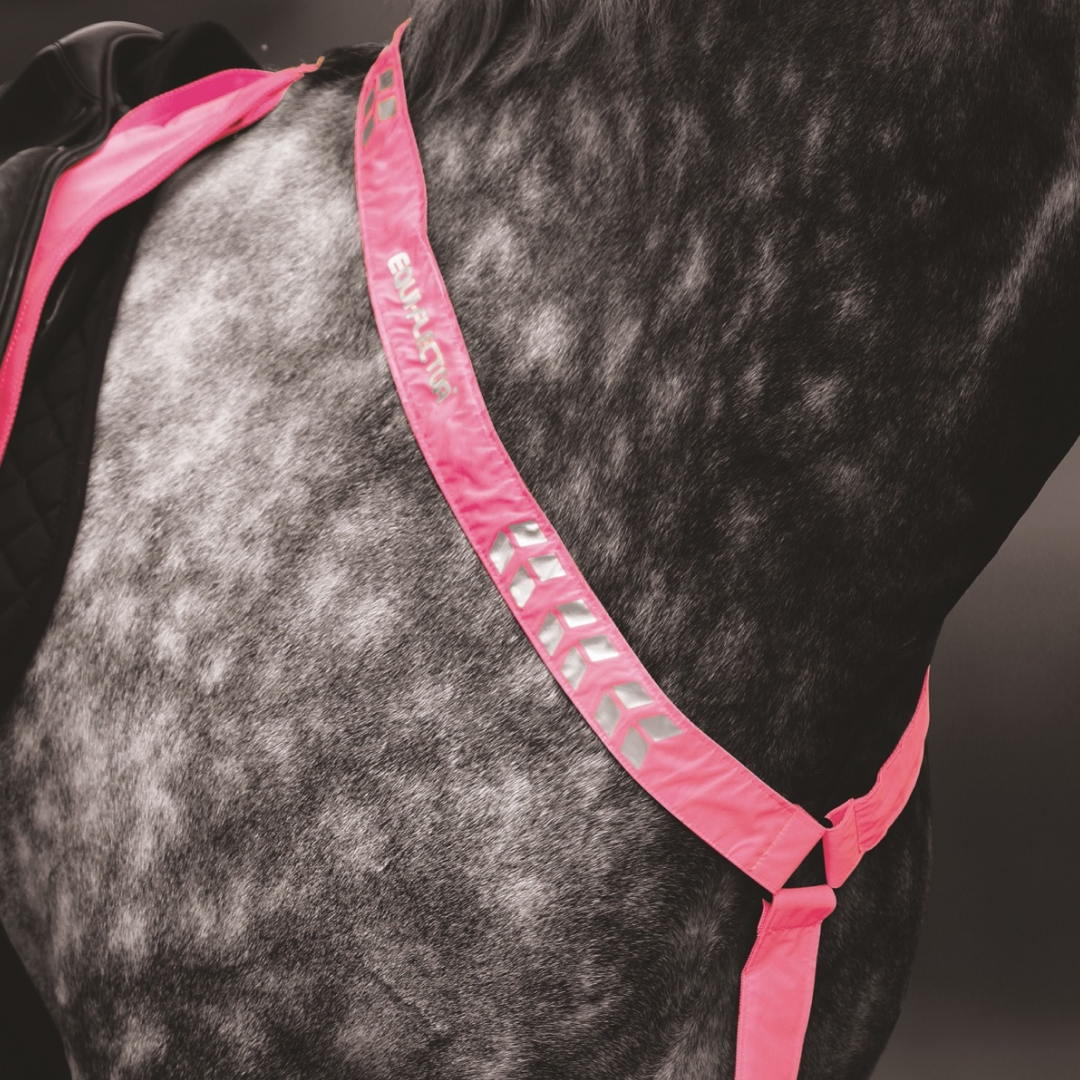 Shires EQUI-FLECTOR Breastplate #colour_pink