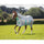 Shires Tempest Original Summer Shield with Mesh #colour_white-check