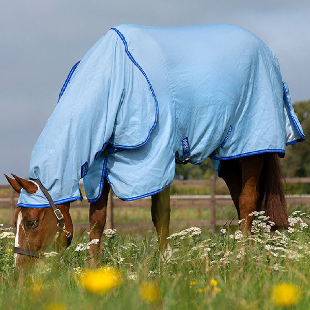 Horseware Ireland Amigo Ripstop Hoody #colour_azure-blue-strong-blue-silver