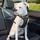 Kurgo Impact Seatbelt Harness #colour_black