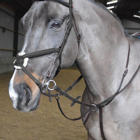 John Whitaker Barton Raised Flash Snaffle Bridle Review - Horse Excel