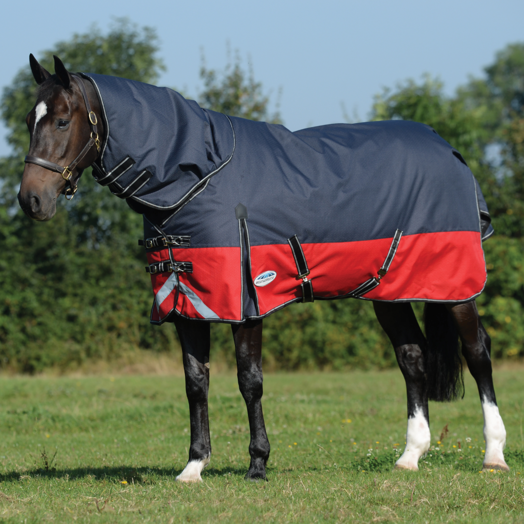 Weatherbeeta Comfitec Plus Dynamic II Detach-A-Neck Medium – GS Equestrian