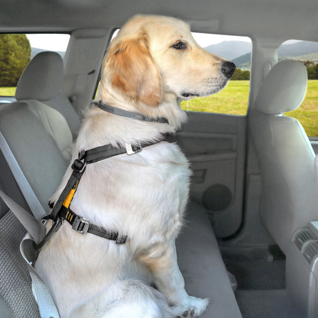 Kurgo Tru-Fit Smart Harness With Seatbelt Tether #colour_black