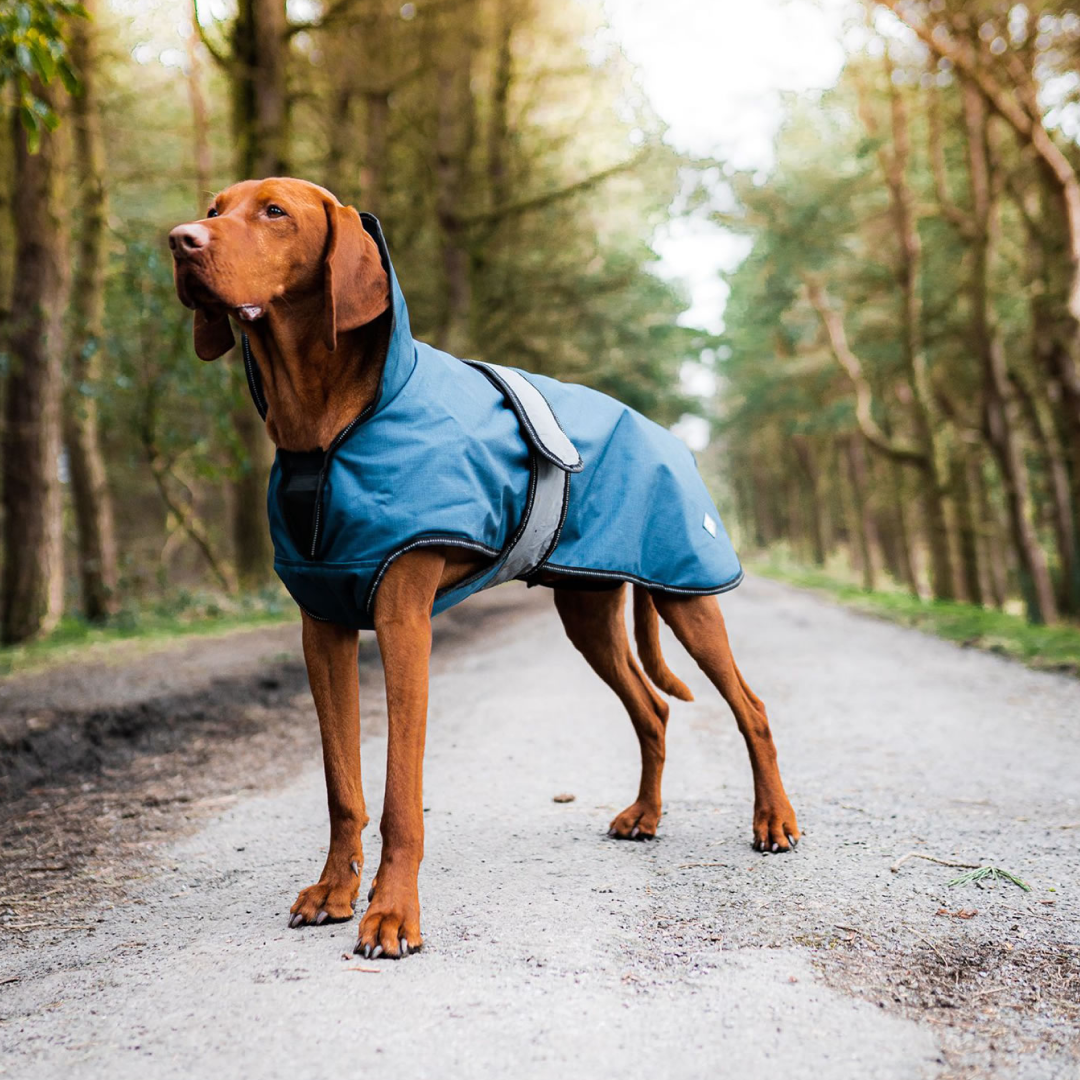 Danish Design Ultimate 2-In-1 Dog Coat #colour_blue