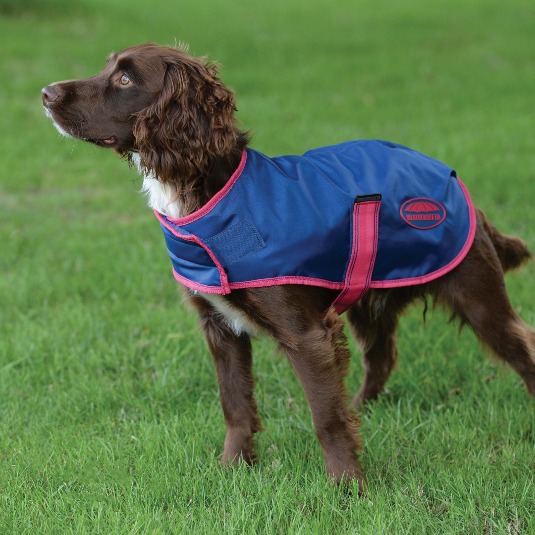 Weatherbeeta Comfitec Windbreaker Free Parka Dog Coat #colour_blueberry-pink