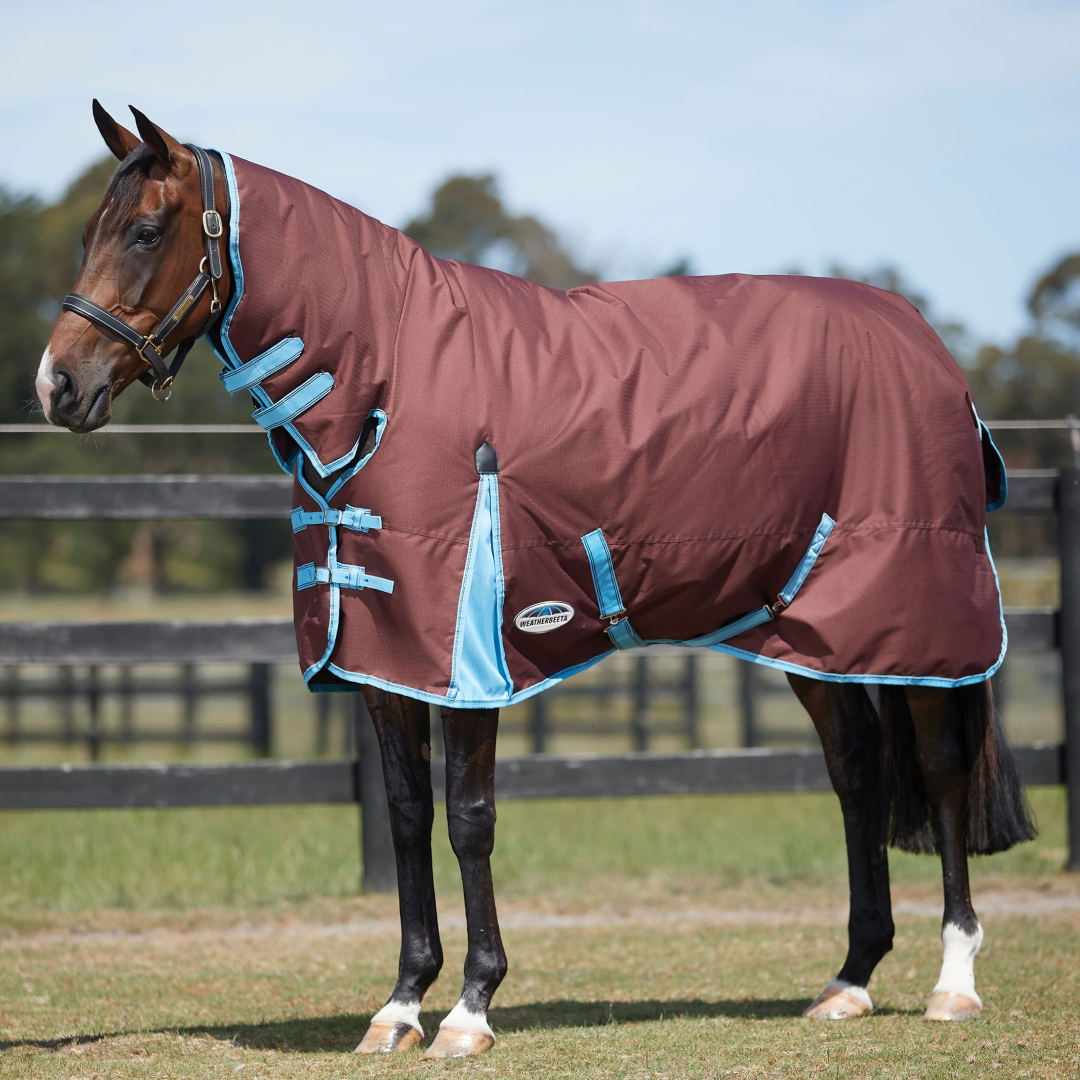 Weatherbeeta ComFiTec Classic Combo Neck Medium Turnout Rug – GS Equestrian