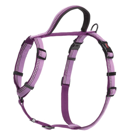 HALTI Walking Harness