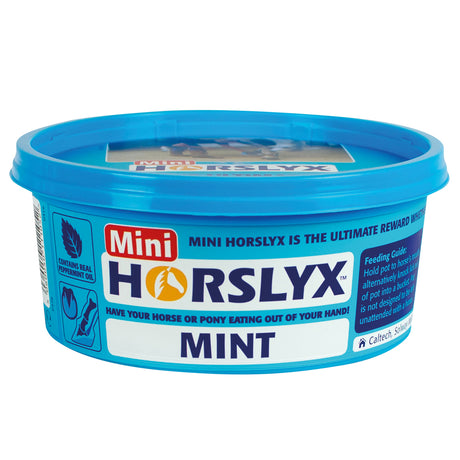 Horslyx Mini Licks Packs of 12 #flavour_mint