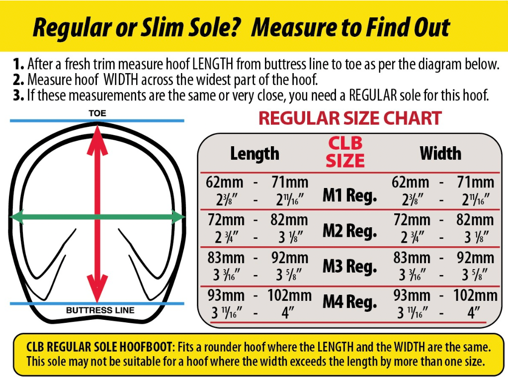 Cute little boot deals cavallo