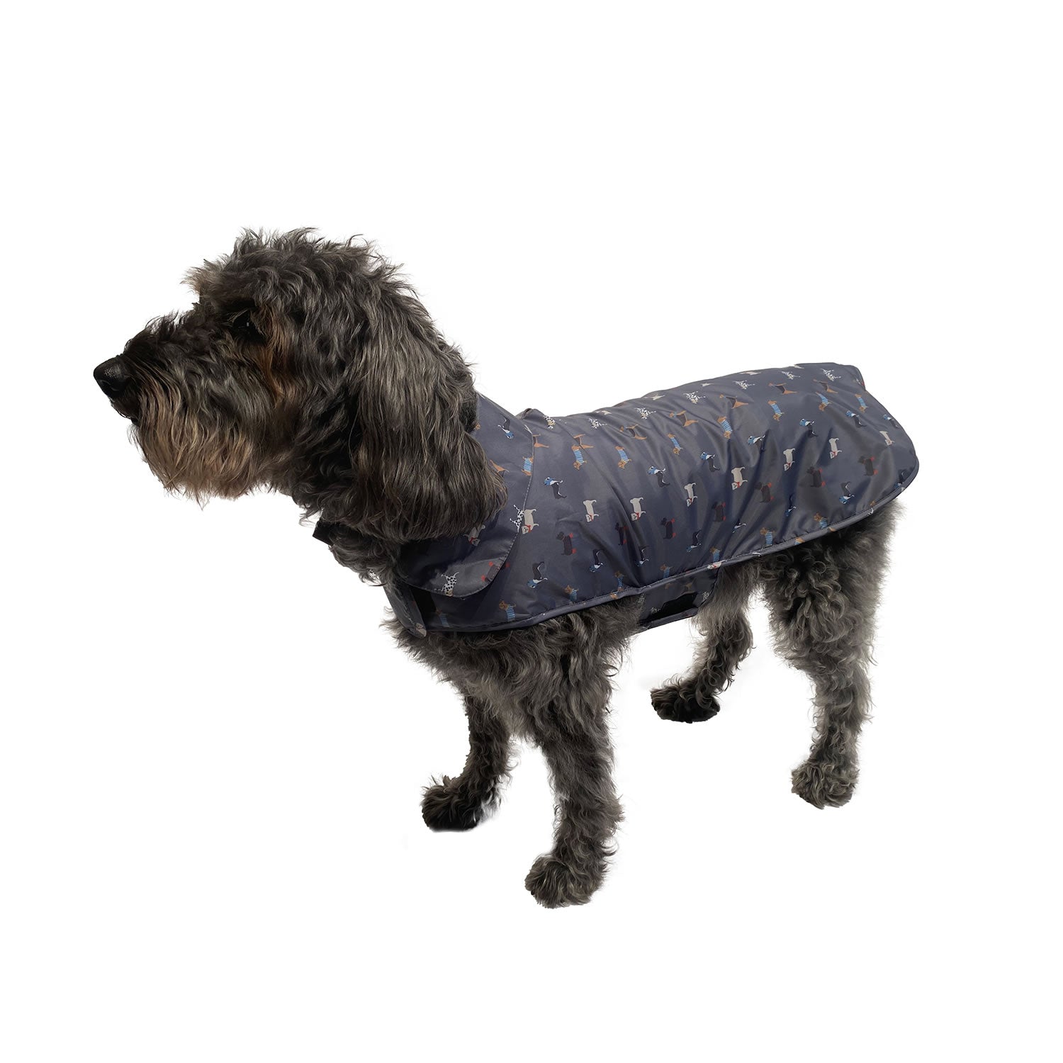 Danish Design Fatface Marching Dogs Raincoat GS Equestrian