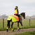 Equisafety Hi-Vis Waterproof Quarter Sheet #colour_yellow-orange