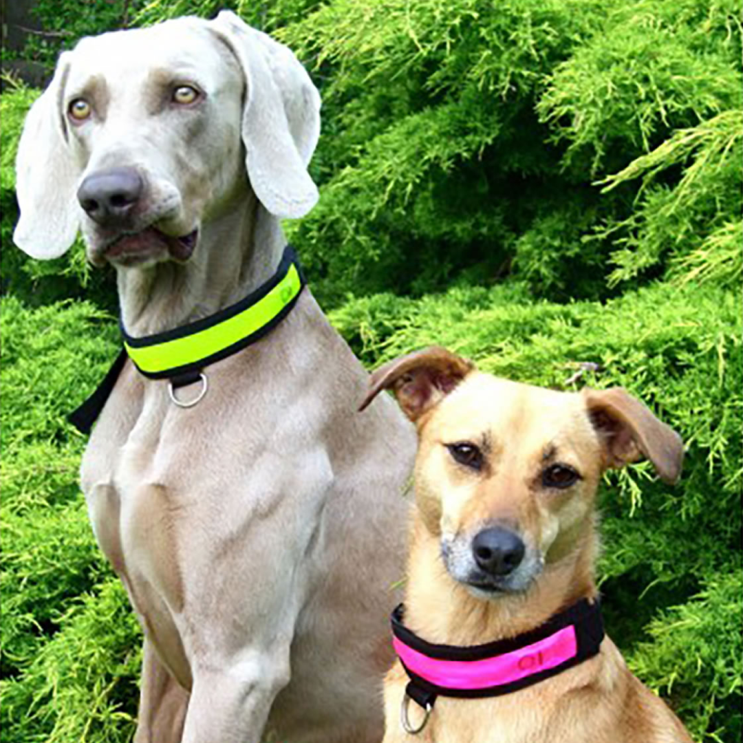 Flashing collars best sale