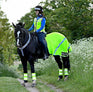 Equisafety Polite atmungsaktives Mesh-Viertellaken