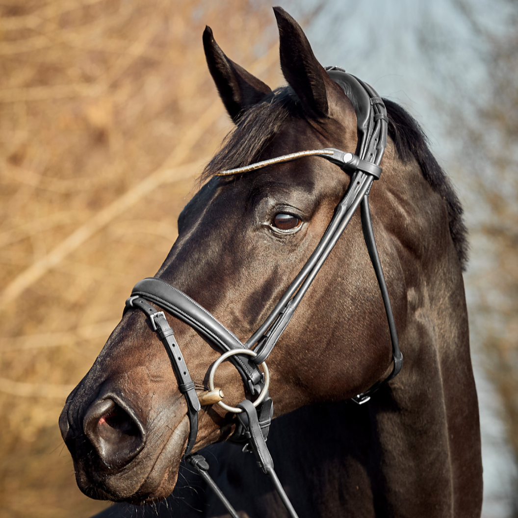Finesse Himalaya Flash Bridle