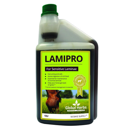 Supplément Global Herbs LamiPro
