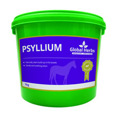 Psyllium d'herbes mondiales