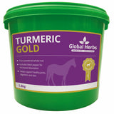 GLOBAL HERBS Turmeric 279G