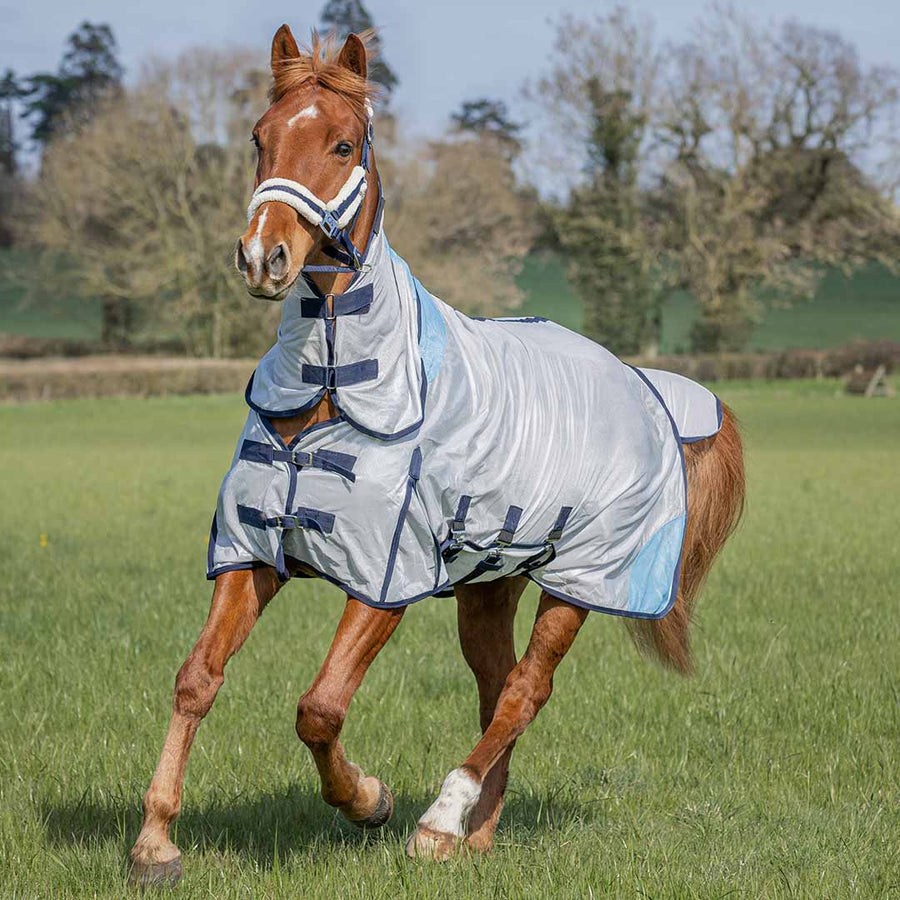 Fly Rugs, Summer Sheets & Hybrid Rugs | GS Equestrian