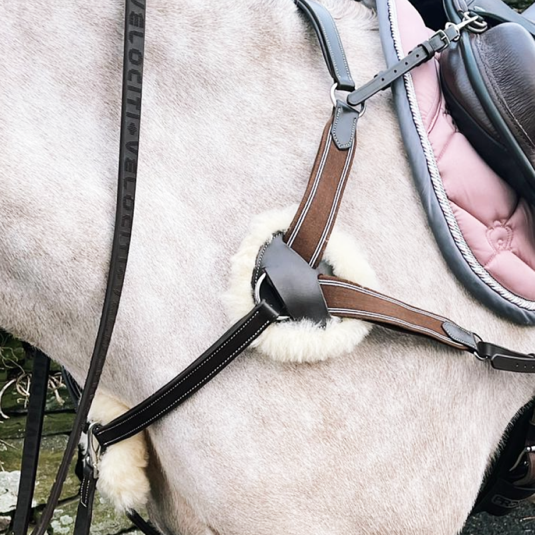 5 point Breastplate