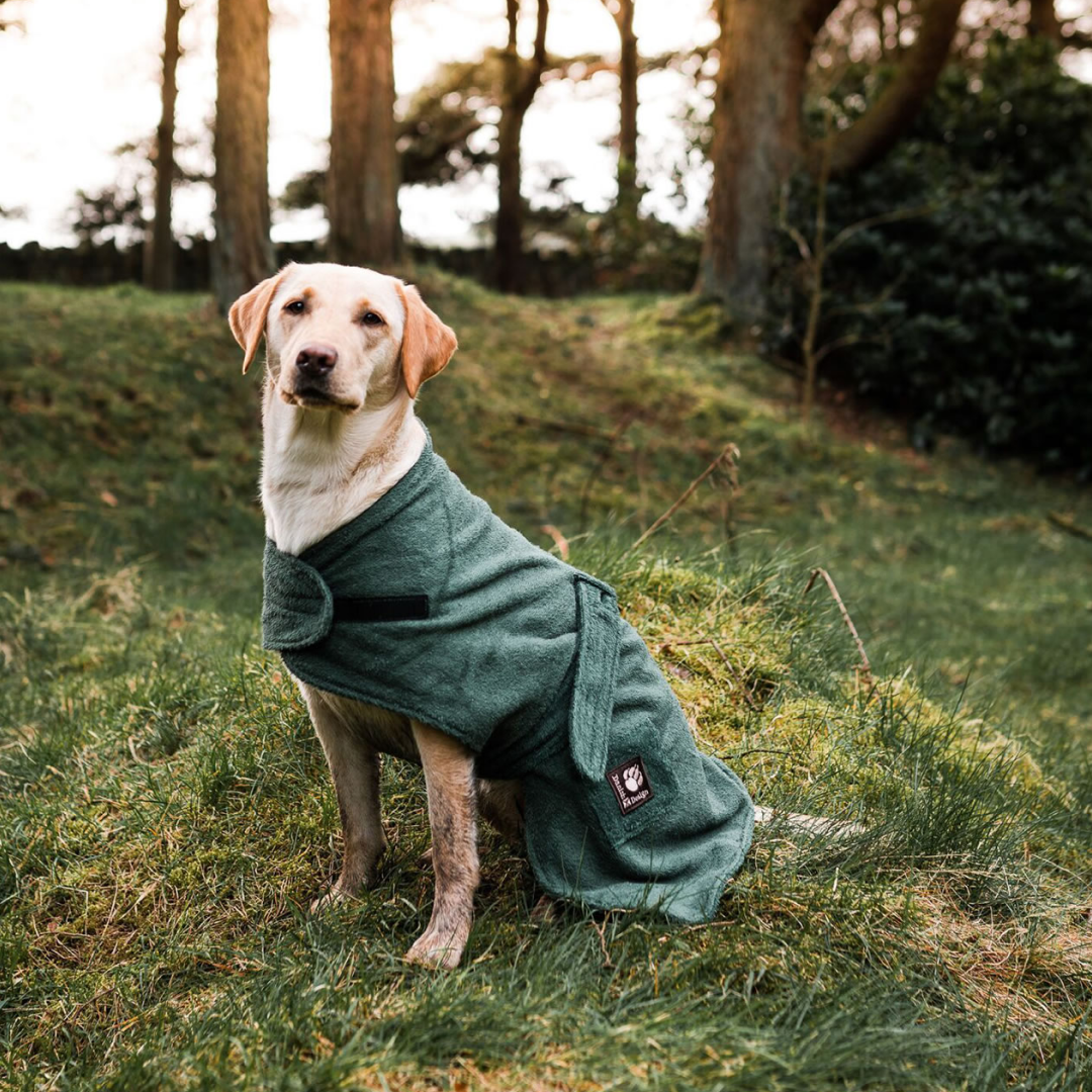 Danish Design Dog Robe Towelling #colour_green