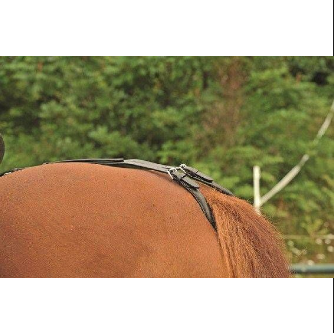 HKM Tail Strap #colour_black