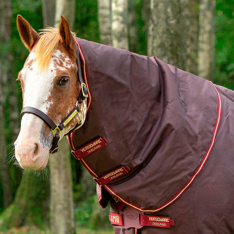 Horseware Ireland Amigo Bravo 12 Original 150g Turnout Hood #colour_brown-red-gold-red