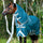 Horseware Ireland Amigo AmECO Bravo 12 Plus 100g Turnout Rug