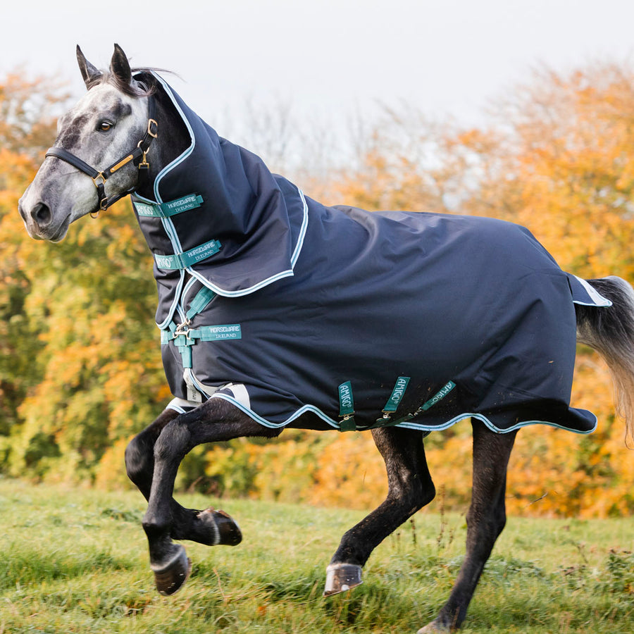 Shop Top Brands for Turnout Rugs GS Equestrian