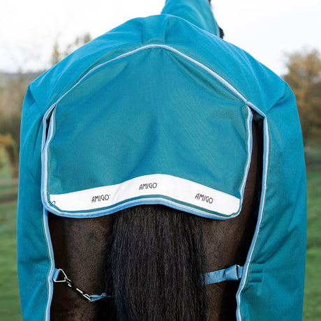 Horseware Ireland Amigo Bravo 12 Plus 400g Heavy Turnout Rug #colour_storm-green-turquoise-aqua