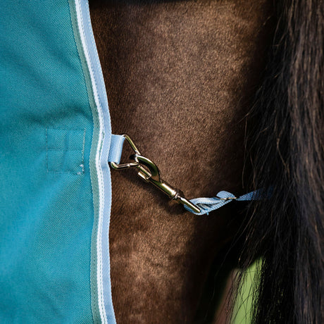 Horseware Ireland Amigo Bravo 12 Plus 400g Heavy Turnout Rug #colour_storm-green-turquoise-aqua