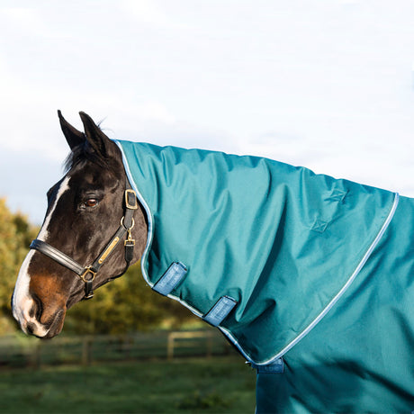Horseware Ireland Amigo Bravo 12 Plus 400g Heavy Turnout Rug #colour_storm-green-turquoise-aqua