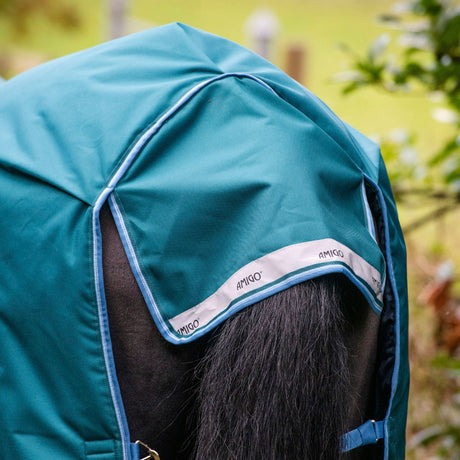 Horseware Ireland Amigo Bravo 12 Wug 400g Heavy Turnout Rug #colour_storm-green-turquoise-aqua