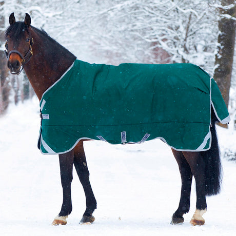 Horseware Ireland Rambo Original 400g Turnout Rug with Leg Arches #colour_green-silver