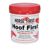 Horse First Hoof First