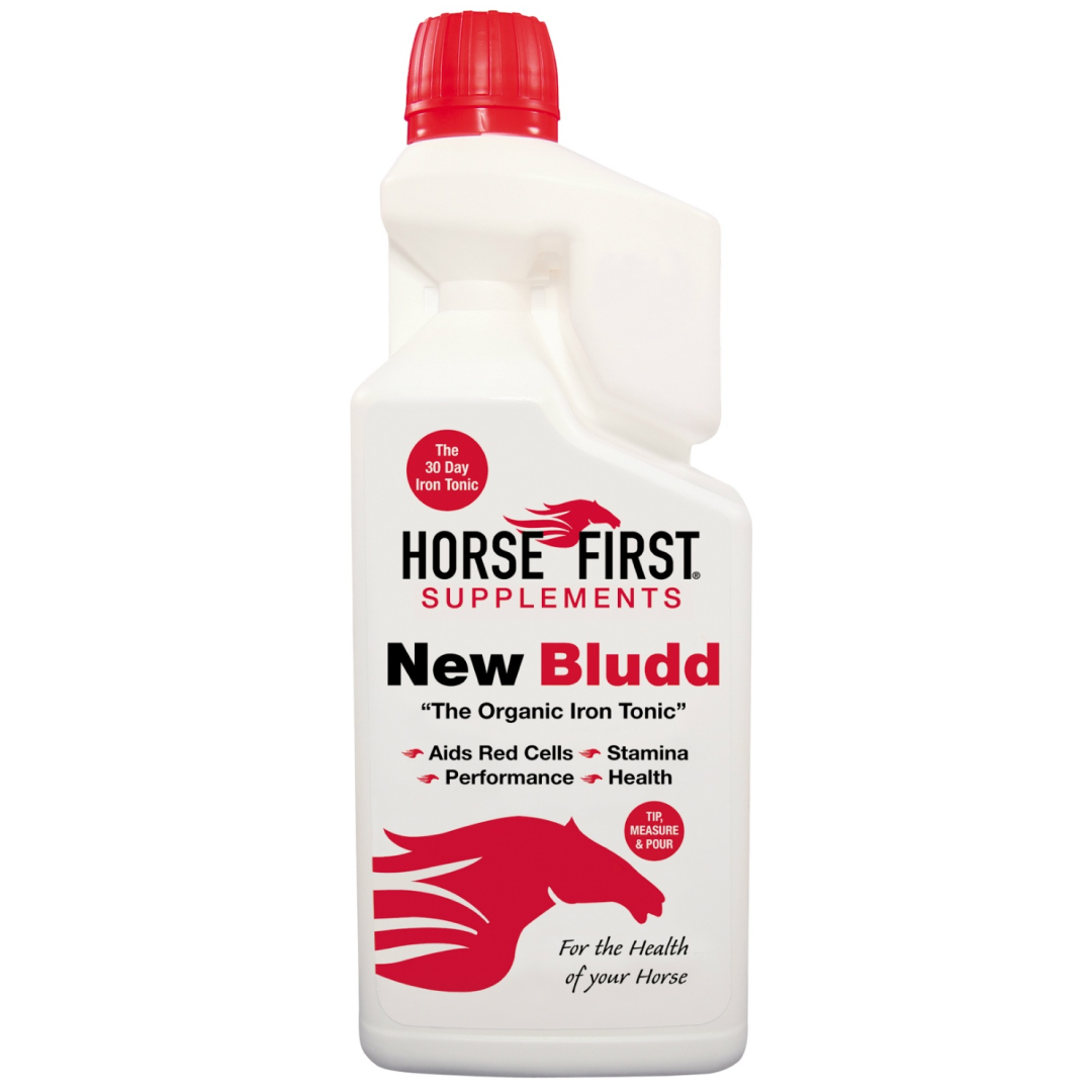 Pferd zuerst New Bludd