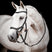 Horseware Ireland Micklem 2 Competition Bridle #colour_black