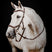 Horseware Ireland Micklem 2 Deluxe Competition Bridle With Reins #colour_dark-havana