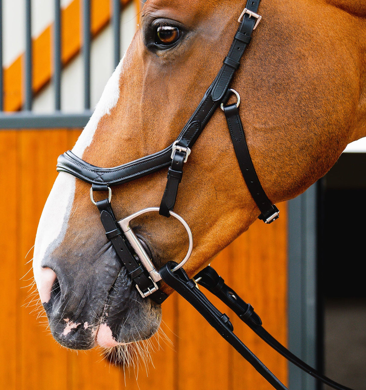 Horseware Ireland Micklem 2 Deluxe Competition Bridle With Reins #colour_black