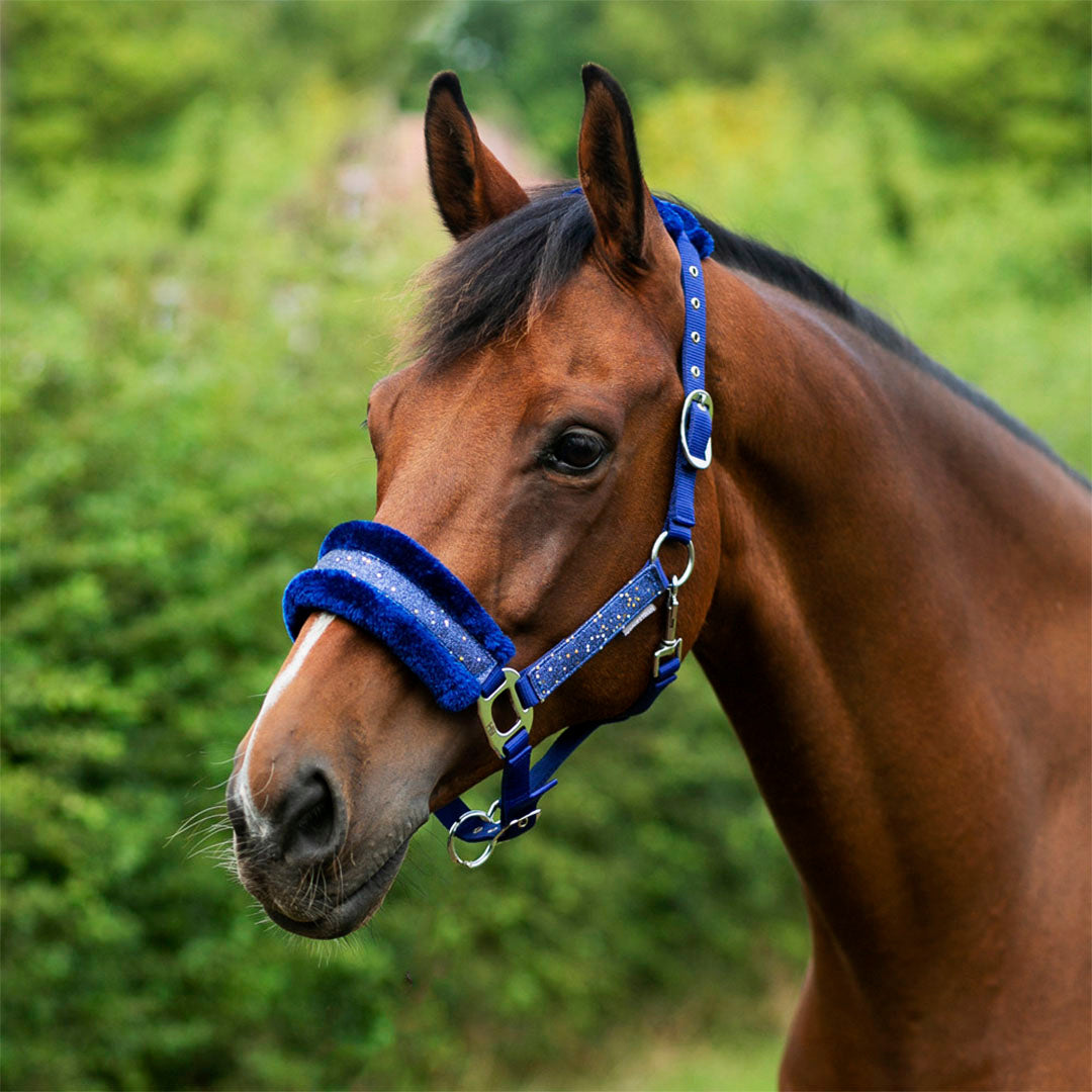 Arma Luxe Gloss Saddle Pad - Navy