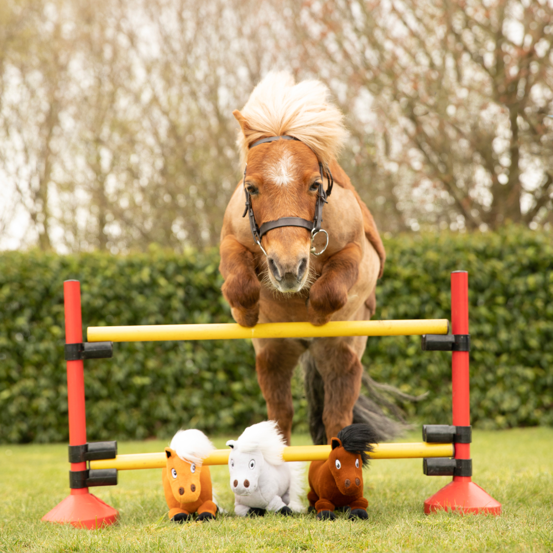 Hy Equestrian Thelwell Ponies #style_fiona-merrylegs