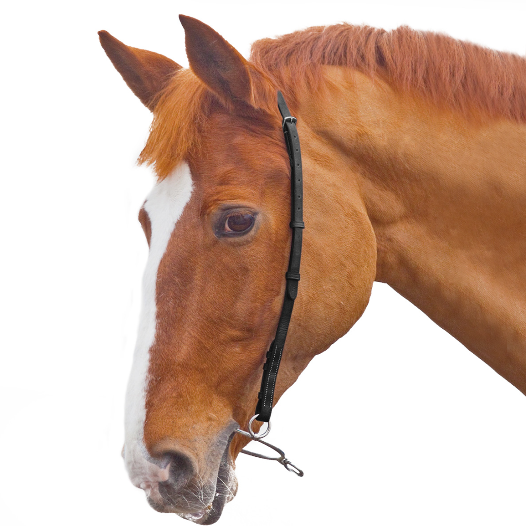 Shires Blenheim Chifney Bit Strap – GS Equestrian