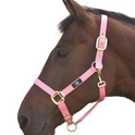 #colour_baby-pink