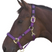 #colour_purple