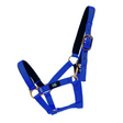#colour_navy