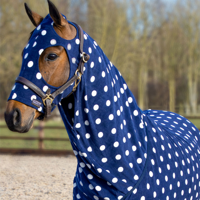 #colour_noble-navy
