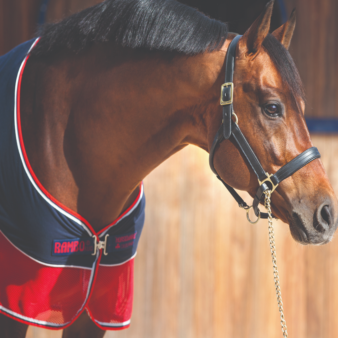Couverture Horseware - Rambo de box 400gr