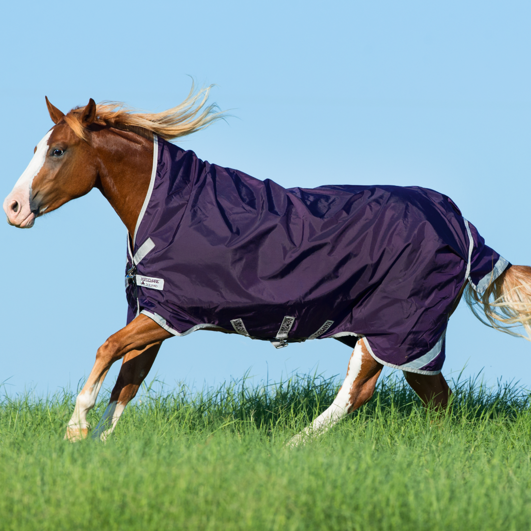 Horseware Ireland Rambo Wug Turnout Lite 0g #colour_dark-purple-silver