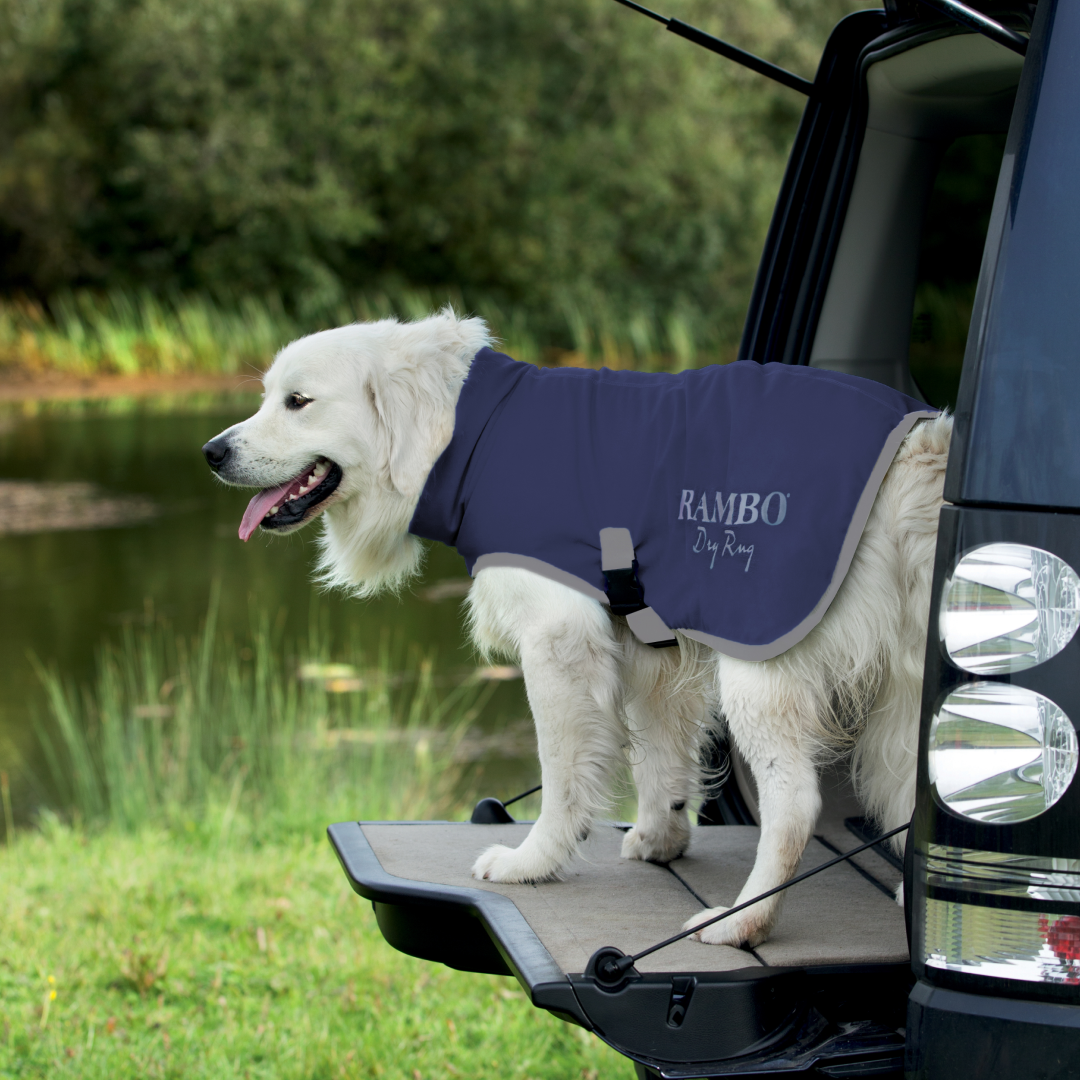 Horseware ireland dog coats outlet