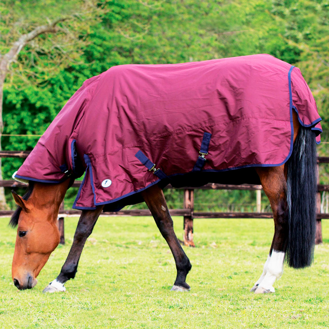 JHL Essential Medium Weight 200g Combo Turnout Rug